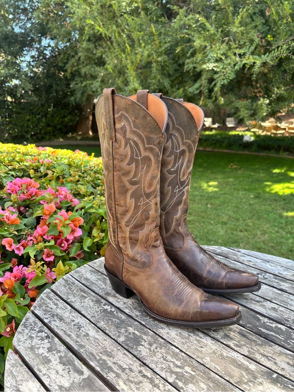 Shyanne Women’s Tess Tall Brown Leather - Western Boot